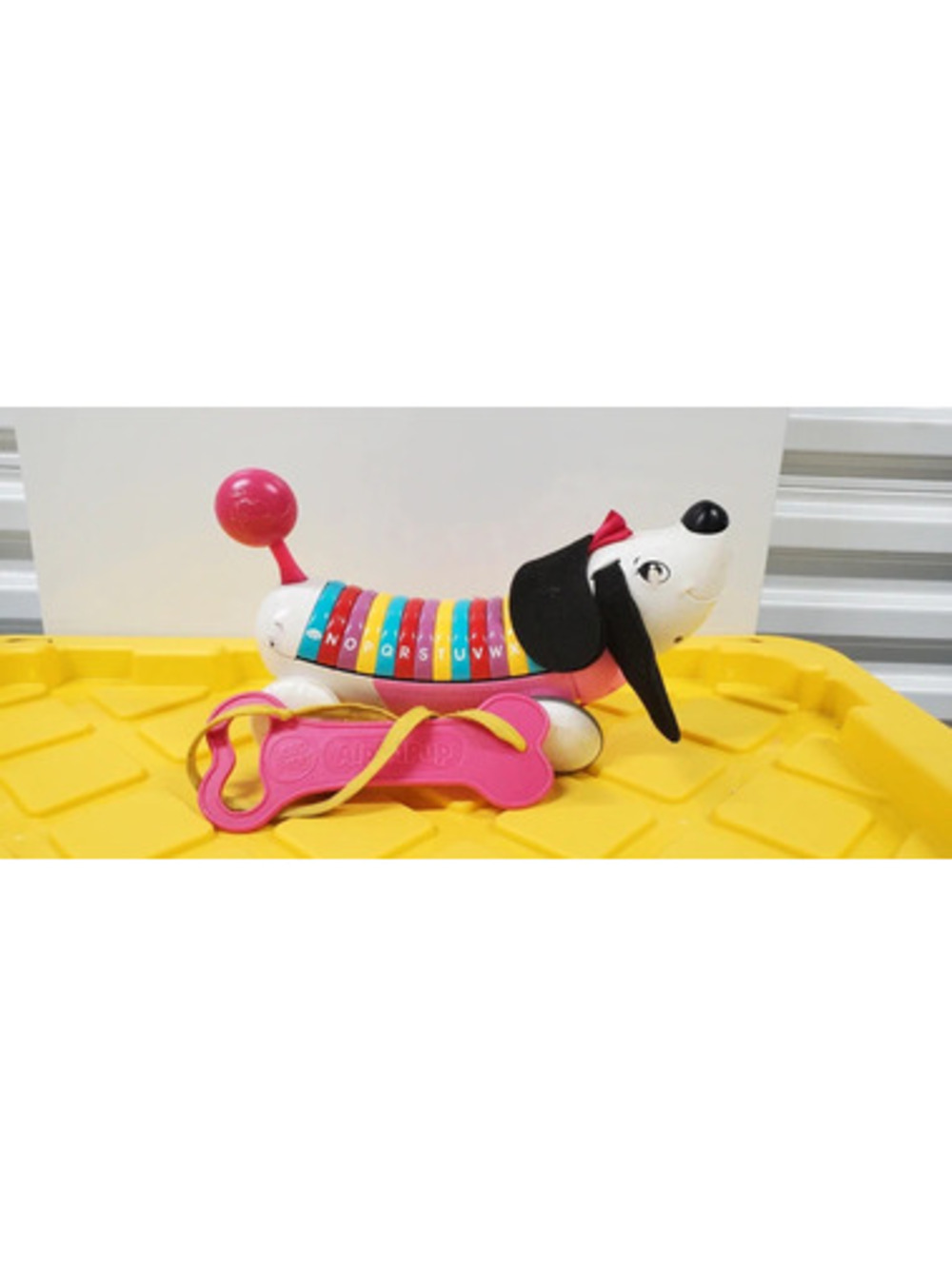 Fisher-Price Alphabet Puppy Pull-Along Toy